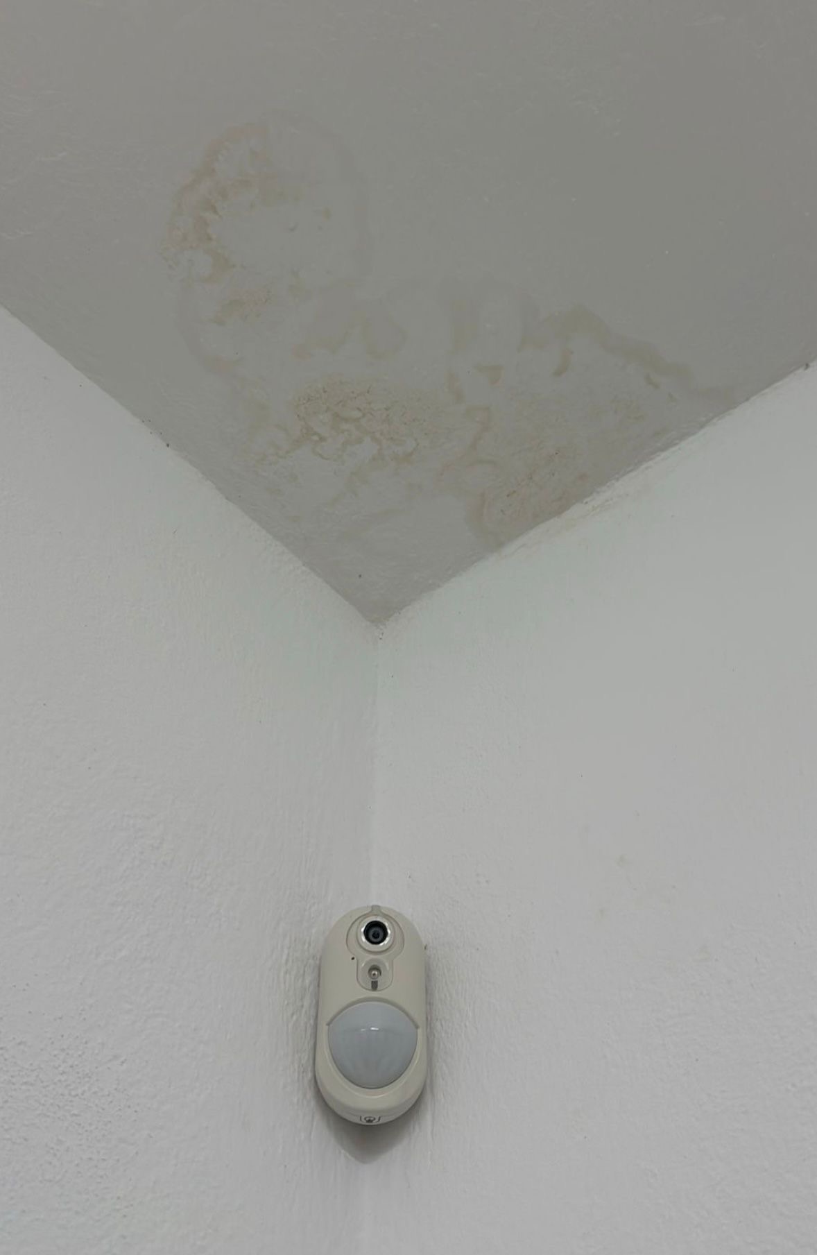 Wasserschaden Decke — Wasserflecken und Verfärbungen